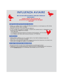 influenza aviaire (4)